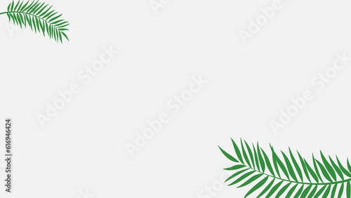 Palm tropical leaves isolated on white background