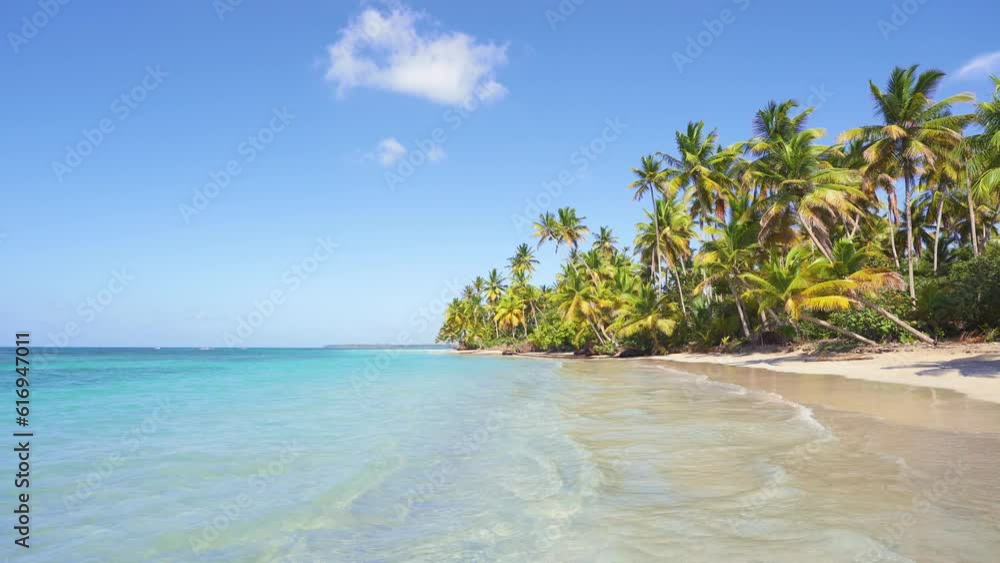 Palm trees and tropical vegetation on the coast, paradise sandy beach and turquoise waters of the Indian Ocean. Romantic sea bay with blue water. Luxurious touristic idyllic nature landscape.