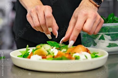 woman chef hand decorated smoked salmon salad with cucumbers, cream cheese, arugula