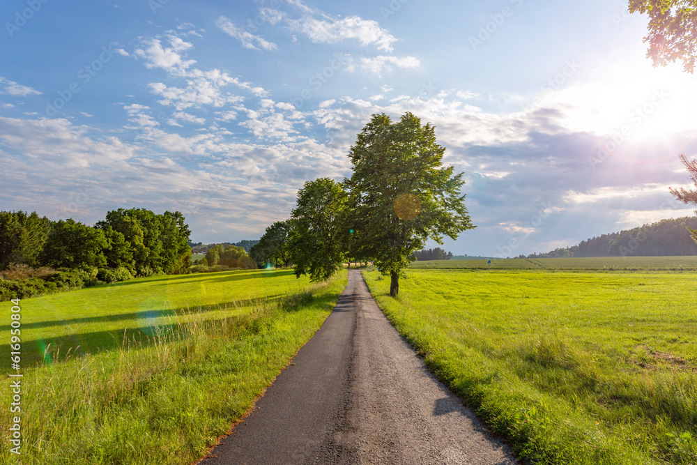 Obraz premium Summer landscape with fields and countryside road under clouds and blue sky
