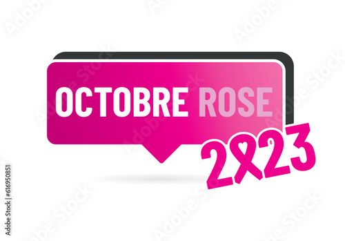 Octobre Rose / lutte contre le cancer du sein en france