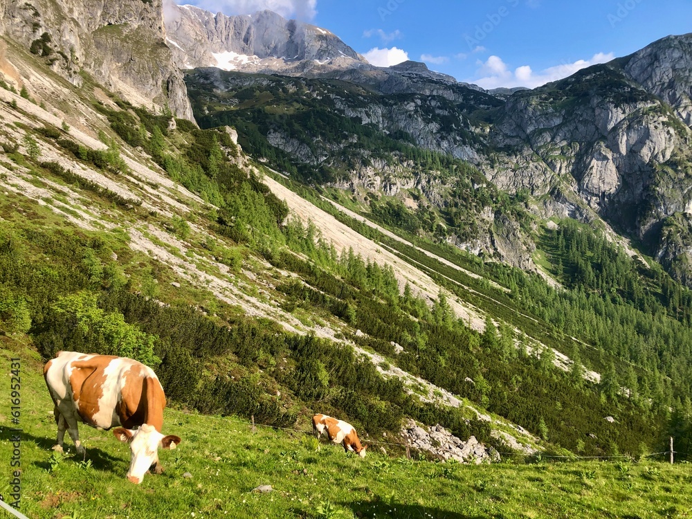 Hochkönig Berchtesgadener Alpen