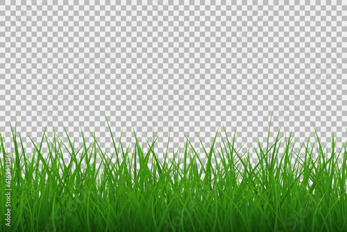 Border grass seamless texture. Vector