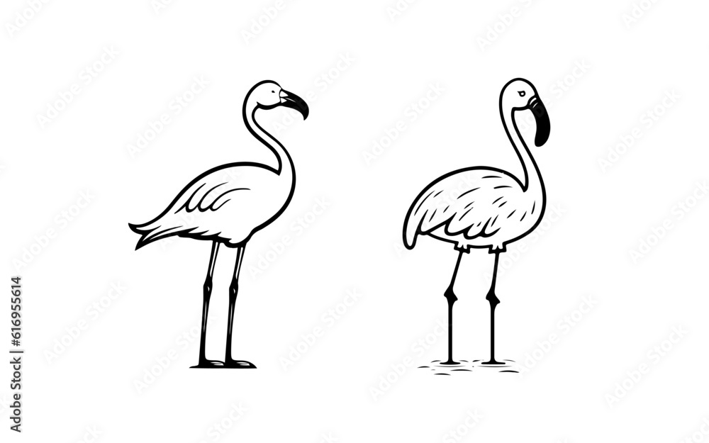 Obraz premium Flamingo doodle line art illustration with black and white style for template.
