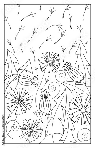 Abstract summer dandelions. Stylized line art  outline black vector on a white background.