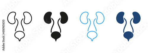 Healthy Internal Organs, Bladder and Kidney Health Symbol Collection. Human Urinary System Line and Silhouette Color Icon Set. Urology Disease Pictogram. Isolated Vector Illustration