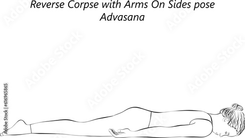 Sketch of young woman practicing yoga, doing Reverse Corpse with Arms On Sides pose. Advasana. Prone and Neutral. Beginner. Isolated vector illustration.