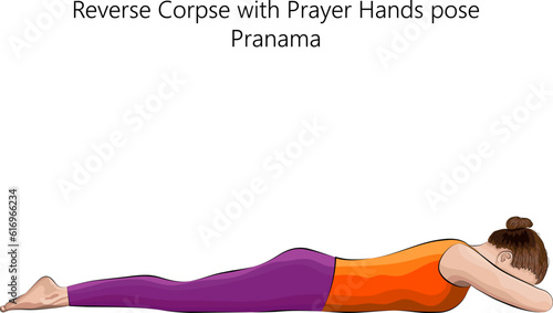 Young woman practicing yoga exercise, doing Reverse Corpse with Prayer Hands pose. Pranama. Prone and Neutral. Beginner. Isolated vector illustration.