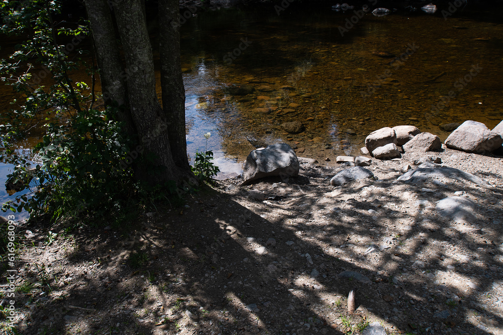 Tree shadow of the river bank of Akerselva. Tree shadow of the river bank of Akerselva.