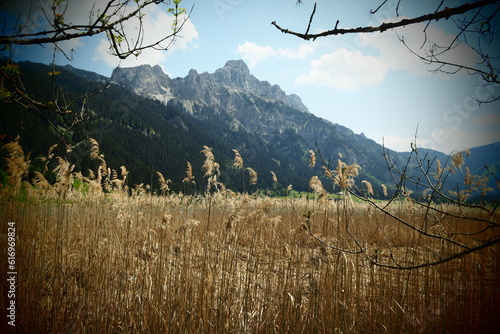 Alpenpanorama mit Haldensee in Österreich 