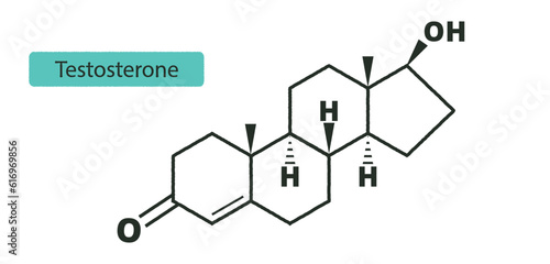 Testosterone molecule. Structural chemical formula. Male sex hormone. Infographic. Vector.