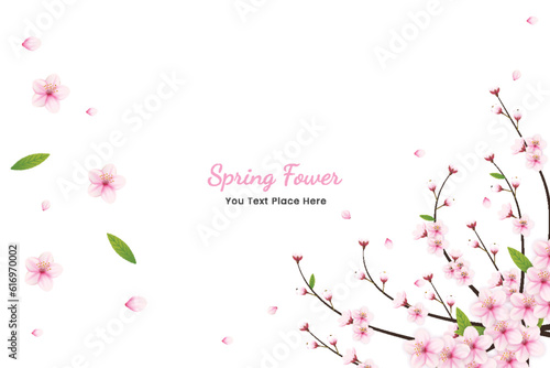 Sakura blossom background, flowers. realistic Japanese pink cherry or apricot floral elements. Cherry blossom branch, flower petal illustration
