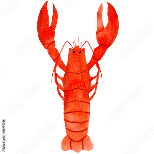 hand drawn watercolor illustration,cooked lobster,red lobster .PNG photo