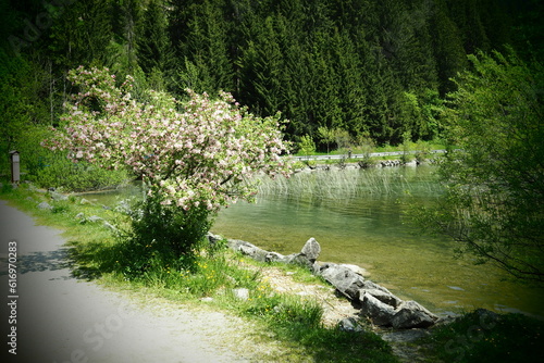 Haldensee in den Alpen