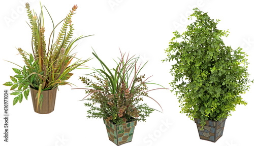 Green plants in pots with transparent backgroundd