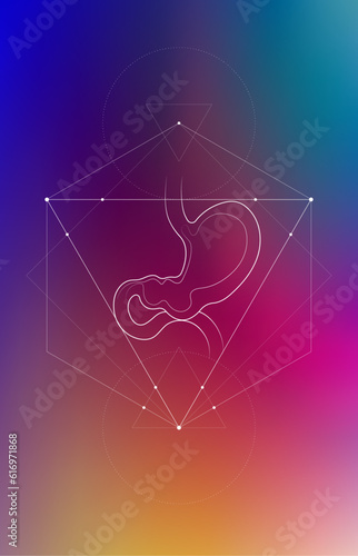 Minimal stomach and gastrointestinal system illustration on gradient. Abdomen internal organs anatomy. Futuristic medical scientific vector clipart.
