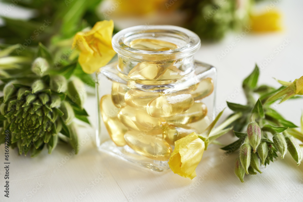Gel capsules of evening primrose oil in a bottle with fresh plant Gel capsules of evening primrose oil in a bottle with fresh plant