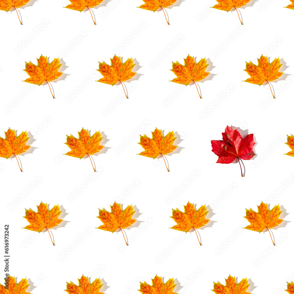 Seamless pattern of colorful autumn maple leaves with hard light isolated on white background Seamless pattern of colorful autumn maple leaves with hard light isolated on white background
