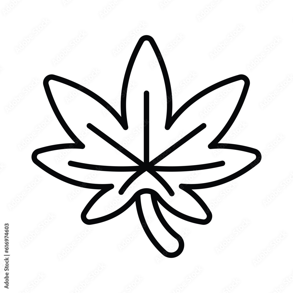 An icon of cannabis leaf in trendy style, isolated on white background