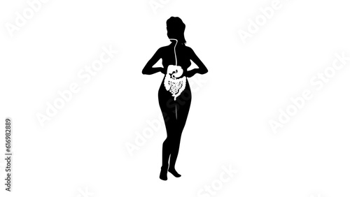 Human biological digestive