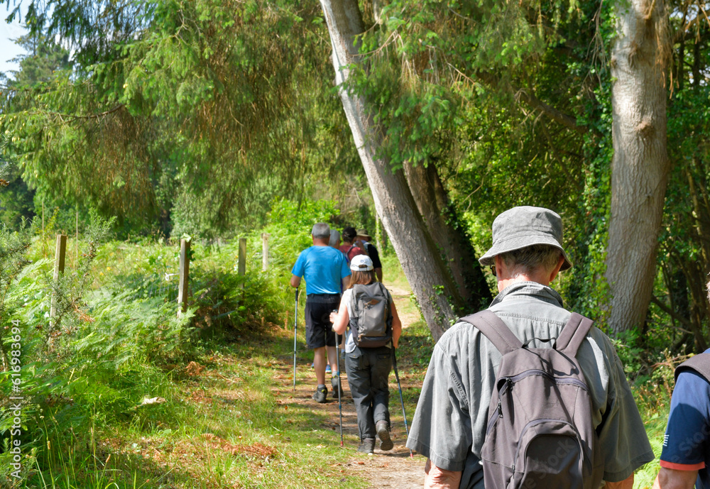 Groupe de randonneurs seniors dans la forêt de Penhoat au-dessus du Trieux - Bretagne France Groupe de randonneurs seniors dans la forêt de Penhoat au-dessus du Trieux - Bretagne France