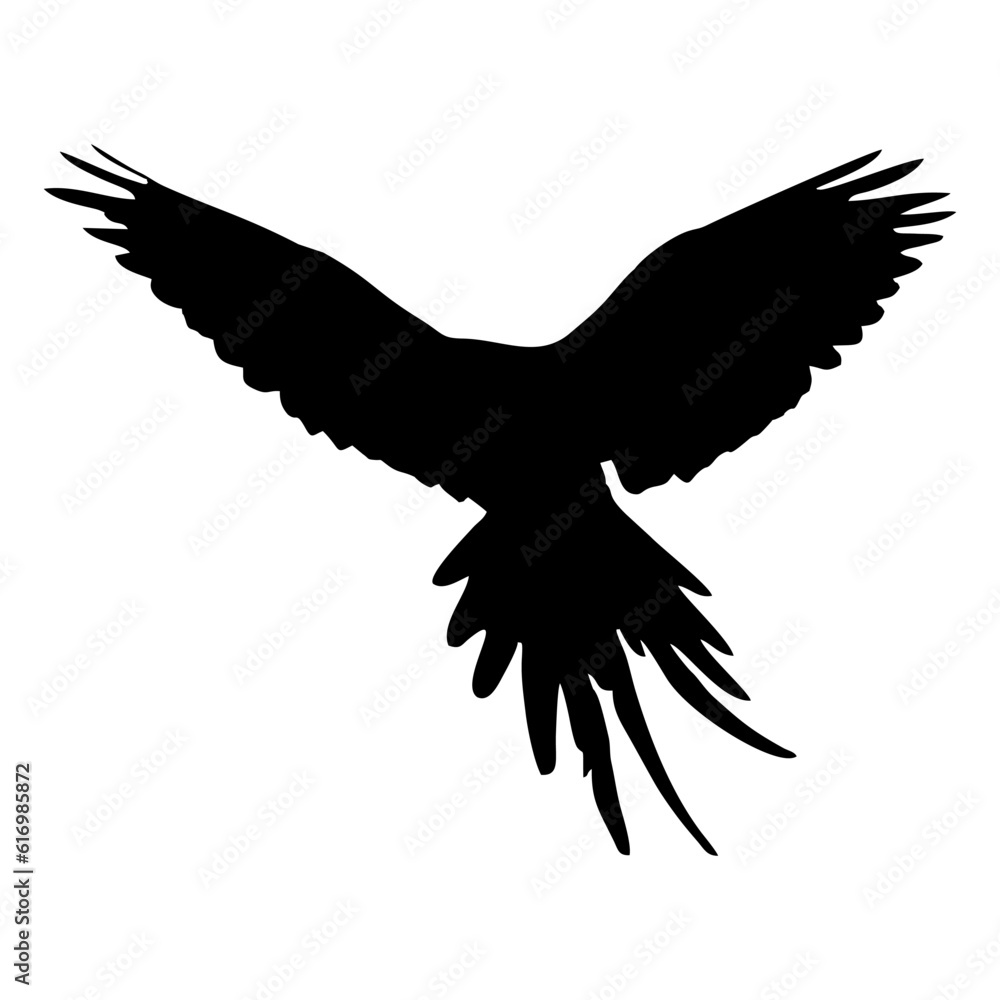 Fototapeta premium Vector illustration of black bird silhouette. Isolated white background.