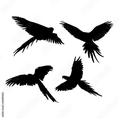 Vector illustration of black bird silhouette. Isolated white background.