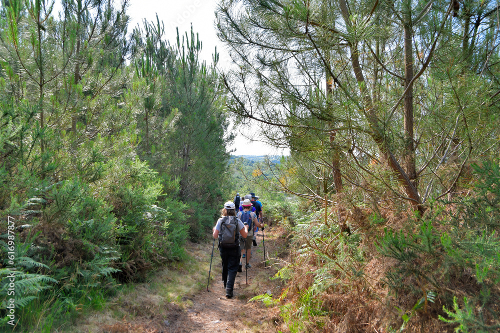 Groupe de randonneurs seniors dans la forêt de Penhoat au-dessus du Trieux - Bretagne France Groupe de randonneurs seniors dans la forêt de Penhoat au-dessus du Trieux - Bretagne France