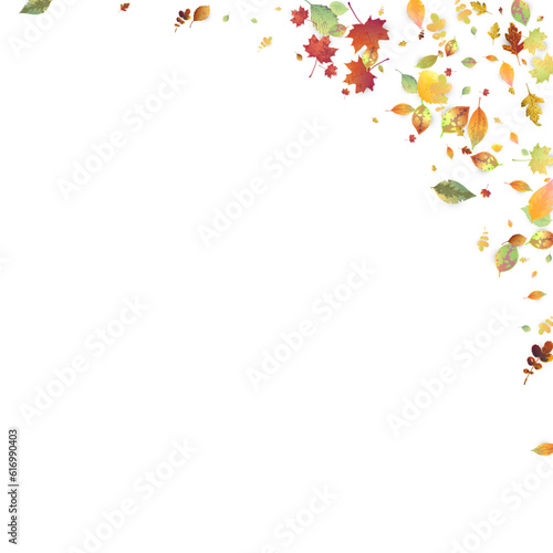 Leaves Falling Autumn Foliage Chaotic Leaf Flying