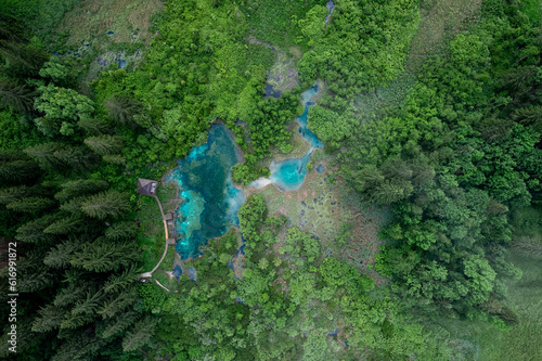 Zelenci Nature Reserve in Slovenia. Mountain wetlands with spring-fed turquoise lake , rare plants & wading birds. Aerial drone view.