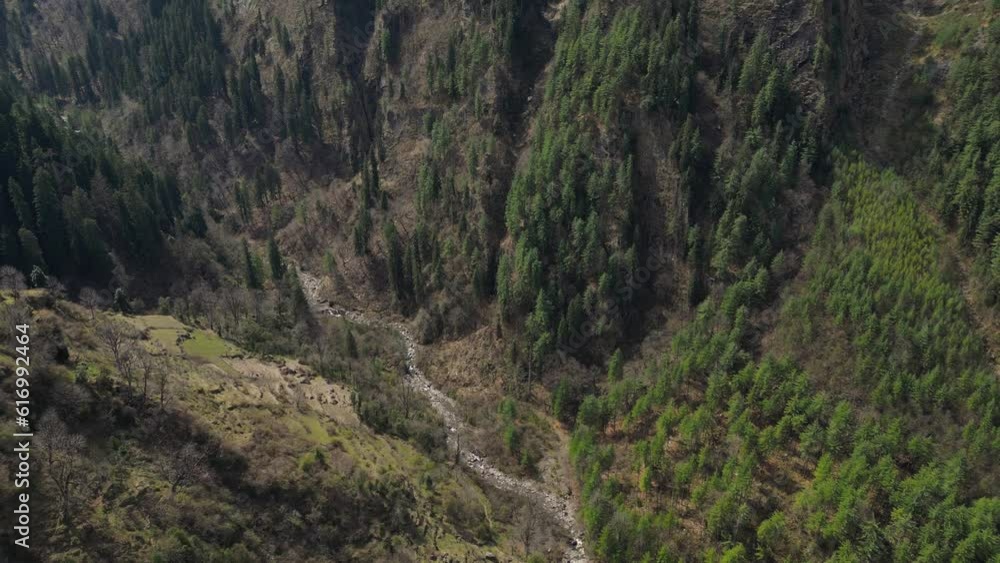 bird eye view of Parvati Valley - Big forest of Pine trees with a dry river - Himachal Pradesh, Indian Himalayas . bird eye view of Parvati Valley - Big forest of Pine trees with a dry river - Himachal Pradesh, Indian Himalayas .
