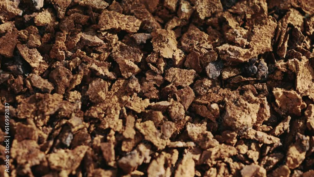 Pieces of chaga mushroom - superfood. Top down view. Static Pieces of chaga mushroom - superfood. Top down view. Static
