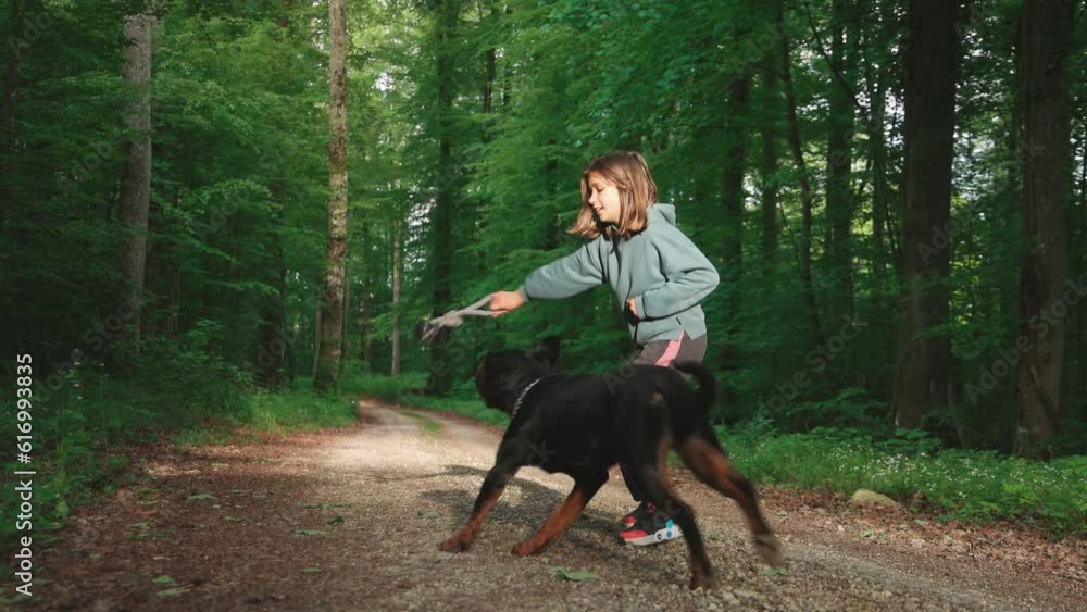 Girl playing with her Rottweiler dog with a dog toy in green forest in sunlight Girl playing with her Rottweiler dog with a dog toy in green forest in sunlight