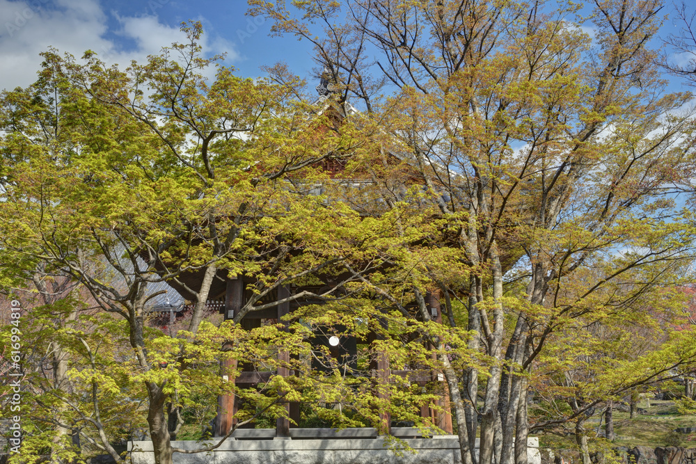 Fototapeta premium 智積院の鐘楼と紅葉