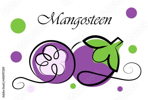 Mangosteen on a white background. Vector illustration in doodle style. Lettering