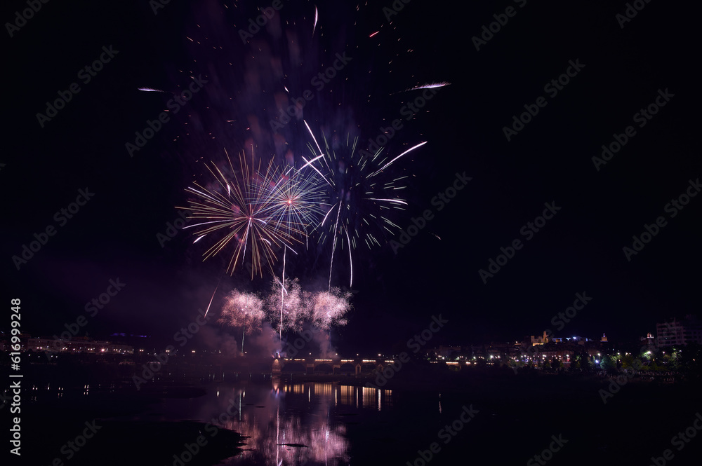 Fireworks over a park in the night sky, happy new year, year 2023-2024, new year 2023/24, badajoz, spain 