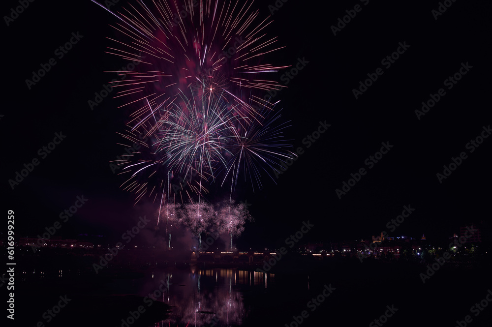 Fireworks over a park in the night sky, happy new year, year 2023-2024, new year 2023/24, badajoz, spain Fireworks over a park in the night sky, happy new year, year 2023-2024, new year 2023/24, badajoz, spain