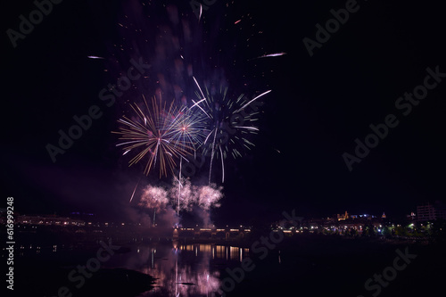 Fireworks over a park in the night sky  happy new year  year 2023-2024  new year 2023 24  badajoz  spain 