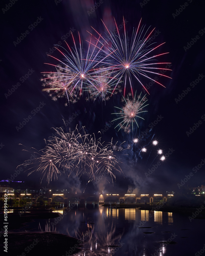 Fireworks over a park in the night sky, happy new year, year 2023-2024, new year 2023/24, badajoz, spain 