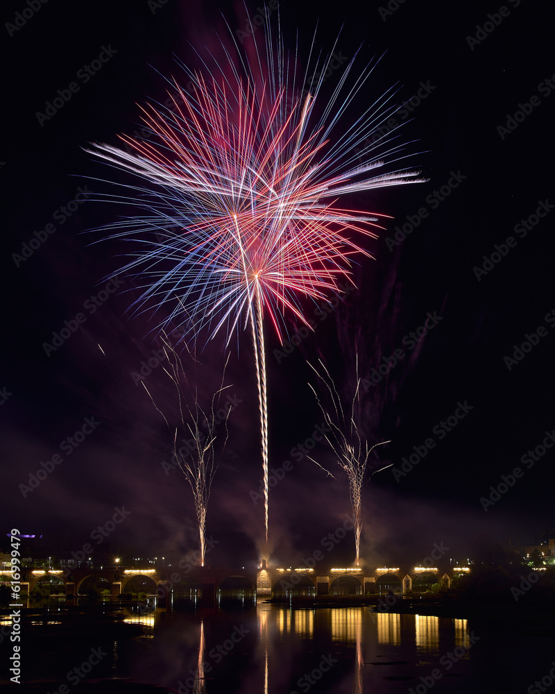 Fireworks over a park in the night sky, happy new year, year 2023-2024, new year 2023/24, badajoz, spain 