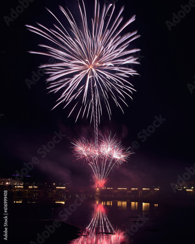 Fireworks over a park in the night sky, happy new year, year 2023-2024, new year 2023/24, badajoz, spain  © Pablo