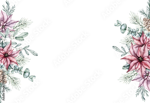 Christmas horizontal frame with red poinsettia flower, pine cone, snowberry, waxberry, or ghostberry and emerald spruce branch, pine twig, eucalyptus, evergreen tree, fir, cedar. Floral border. Hand photo