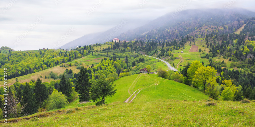 green spring mountain landscape with fields. carpathian countryside scenery on a cloudy morning