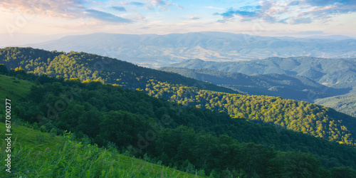 Fototapeta Naklejka Na Ścianę i Meble -  green rolling hills and grassy meadows. mountainous nature background at sunrise. sunny weather in summertime