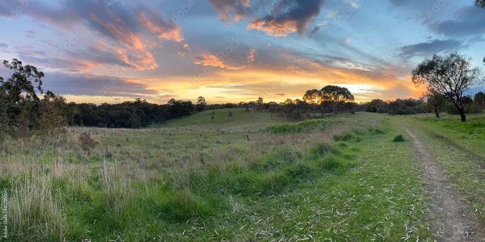 Obraz premium sunset over the field