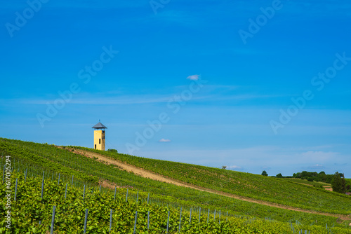 Hike through the vineyards around the Wißberg in Rheinhessen/Germany with the Vendersheim vineyard tower in the background © fotografci
