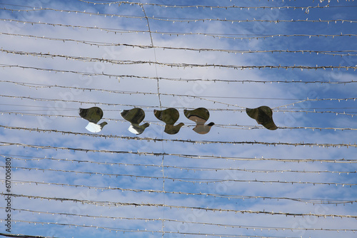 decorations in the form of pigeons in the park