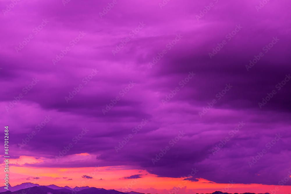 Fototapeta premium Trend color background