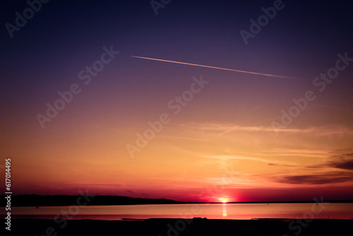 view of the pink sunset through the branches of the will on a bright sunset over the lake