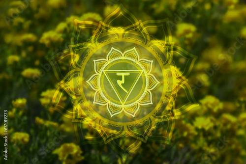 Manipura symbol or Solar Plexus chakra on yellow flowers field background photo